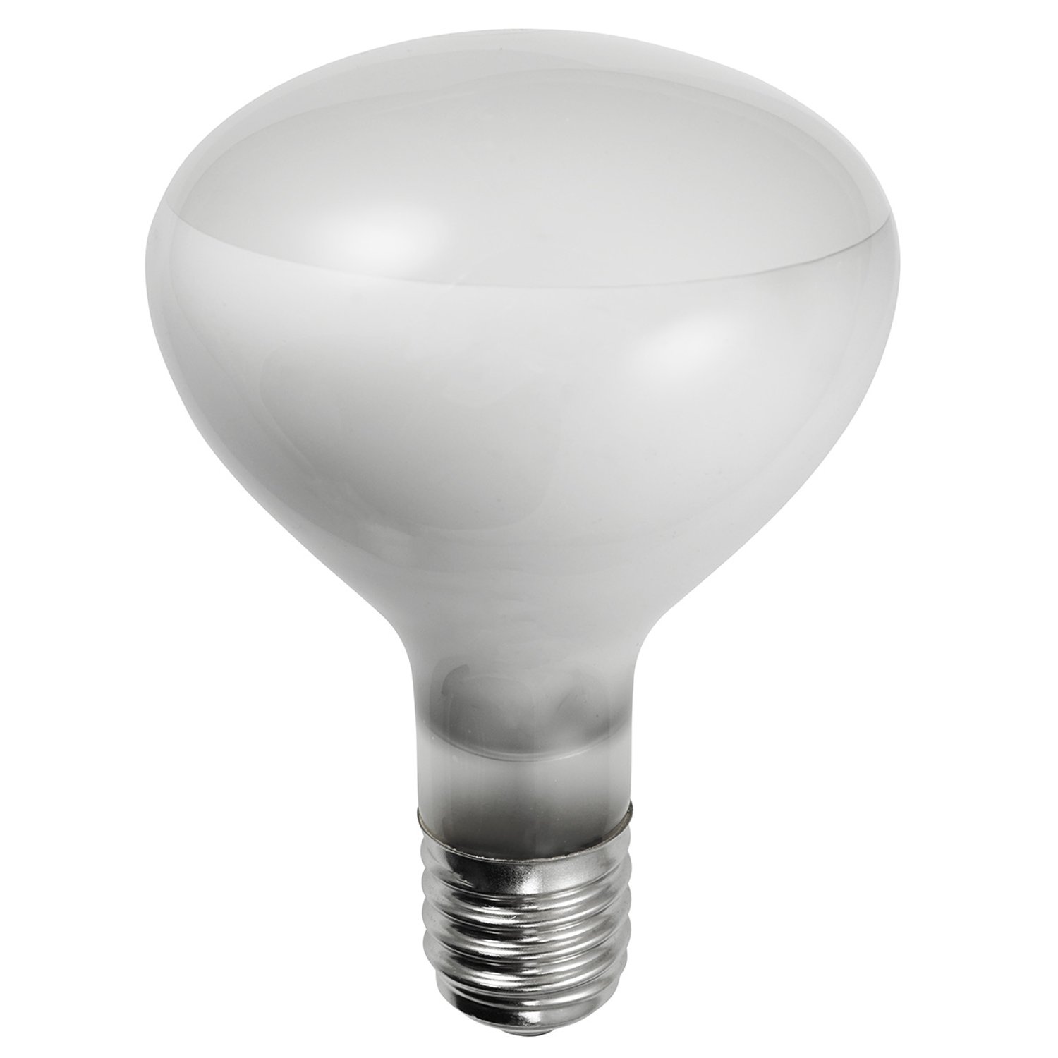 300R40/3FL - 300R40/FL - Norman Lamps