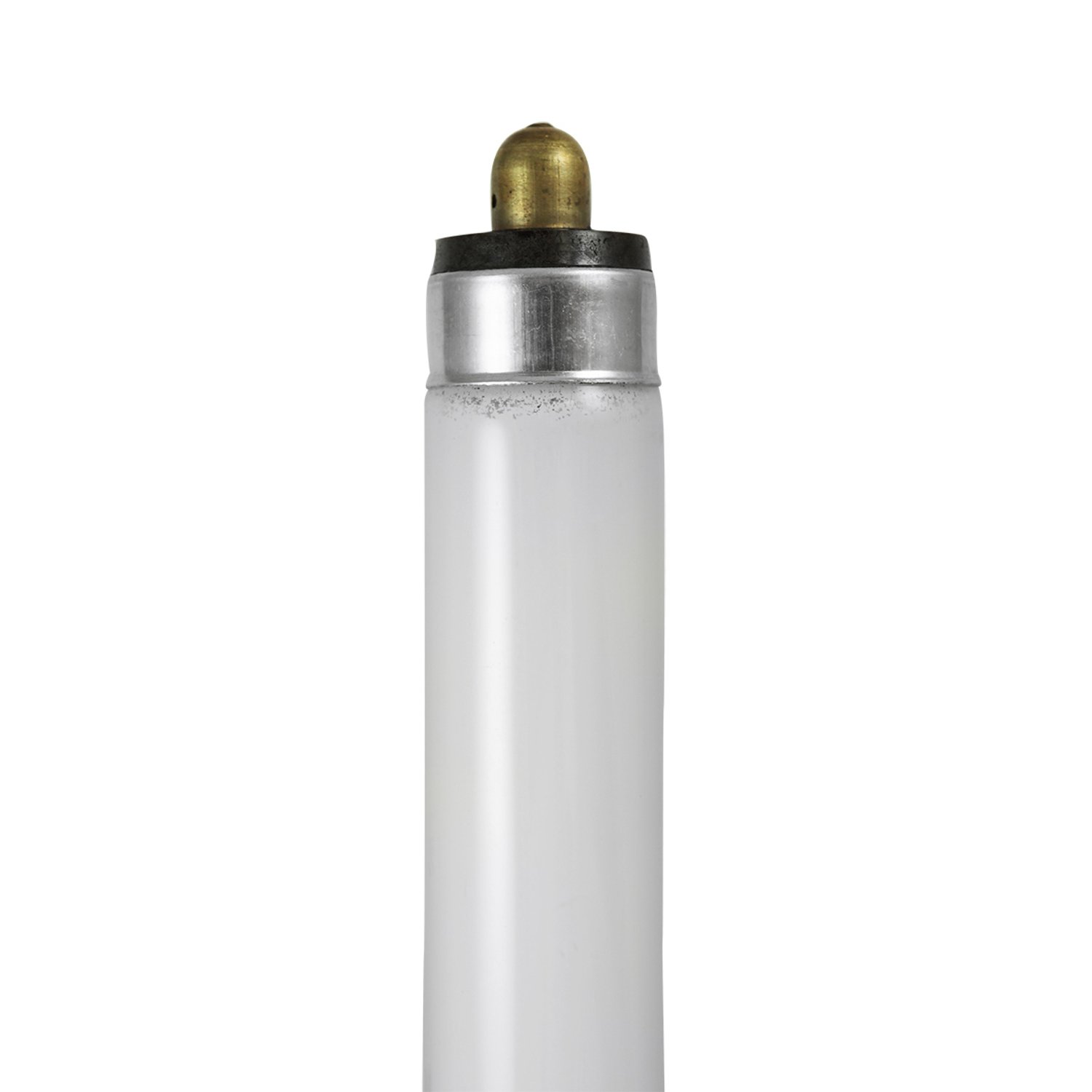 F42T6-CW (24266) - F42T6-CW - Norman Lamps