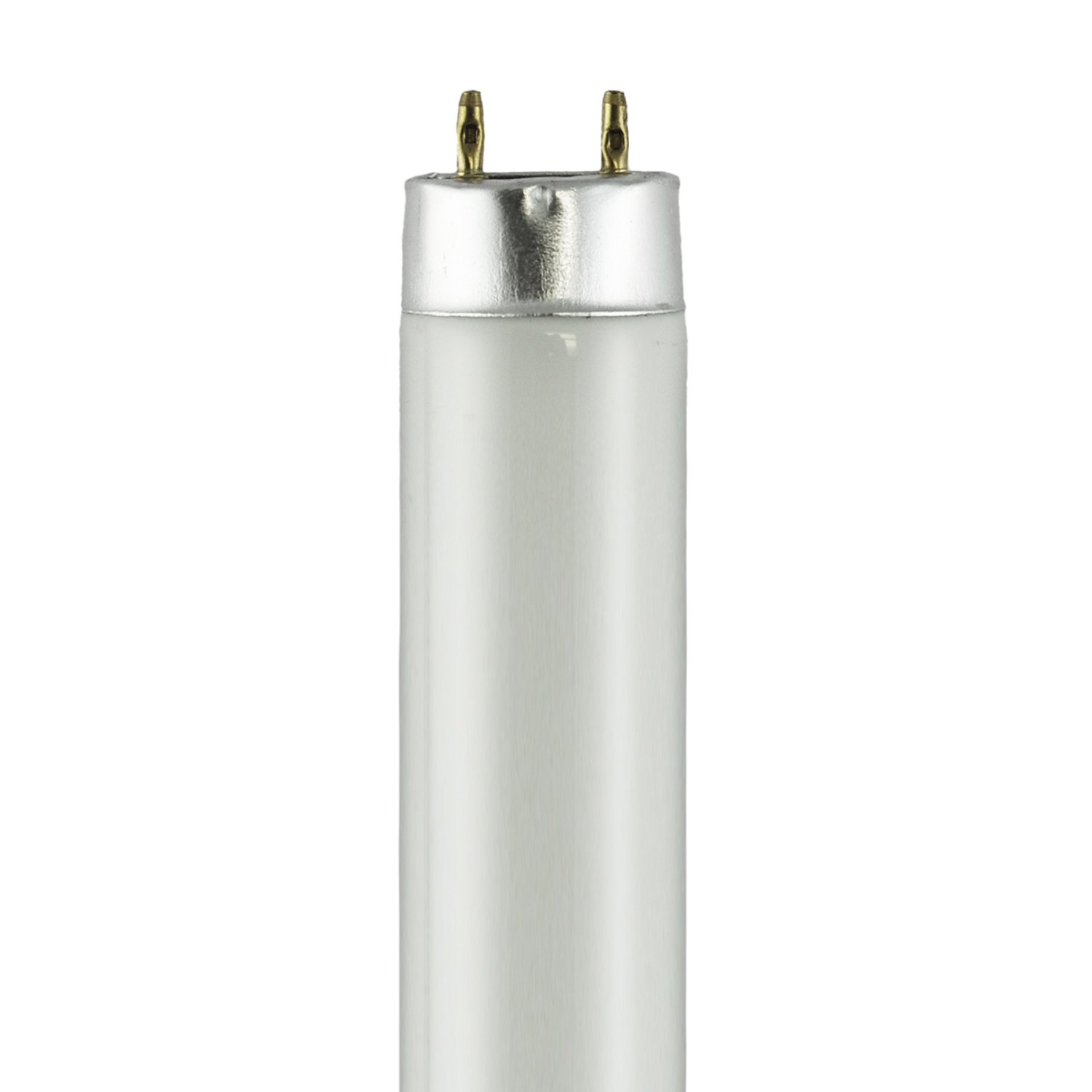 F17T8/TL865PLUS Philips Brand 38215-0 Daylight 6500K - F17T8/TL865PLUS - Norman Lamps