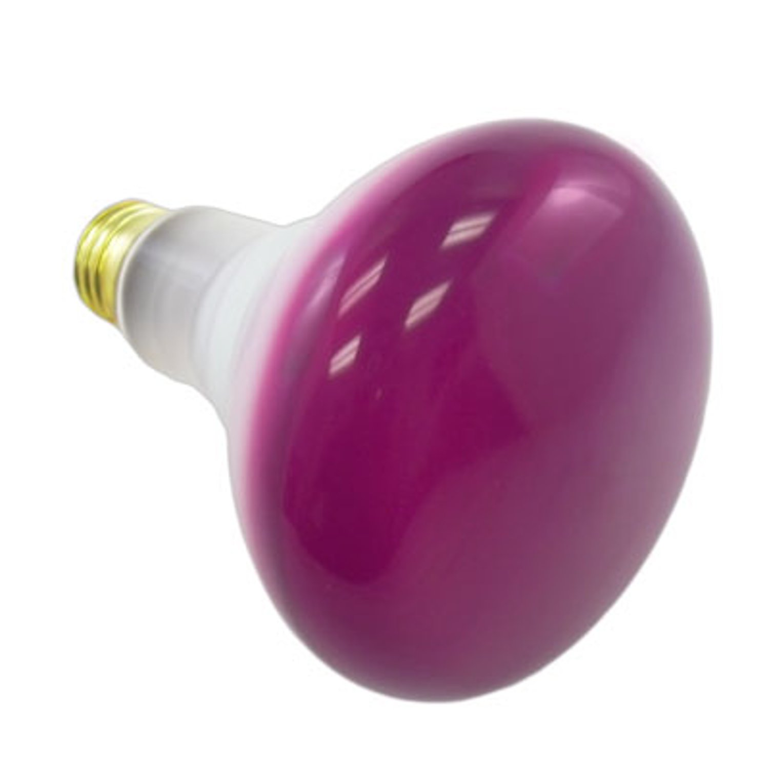 50R20/P - 50R20/PINK - Norman Lamps