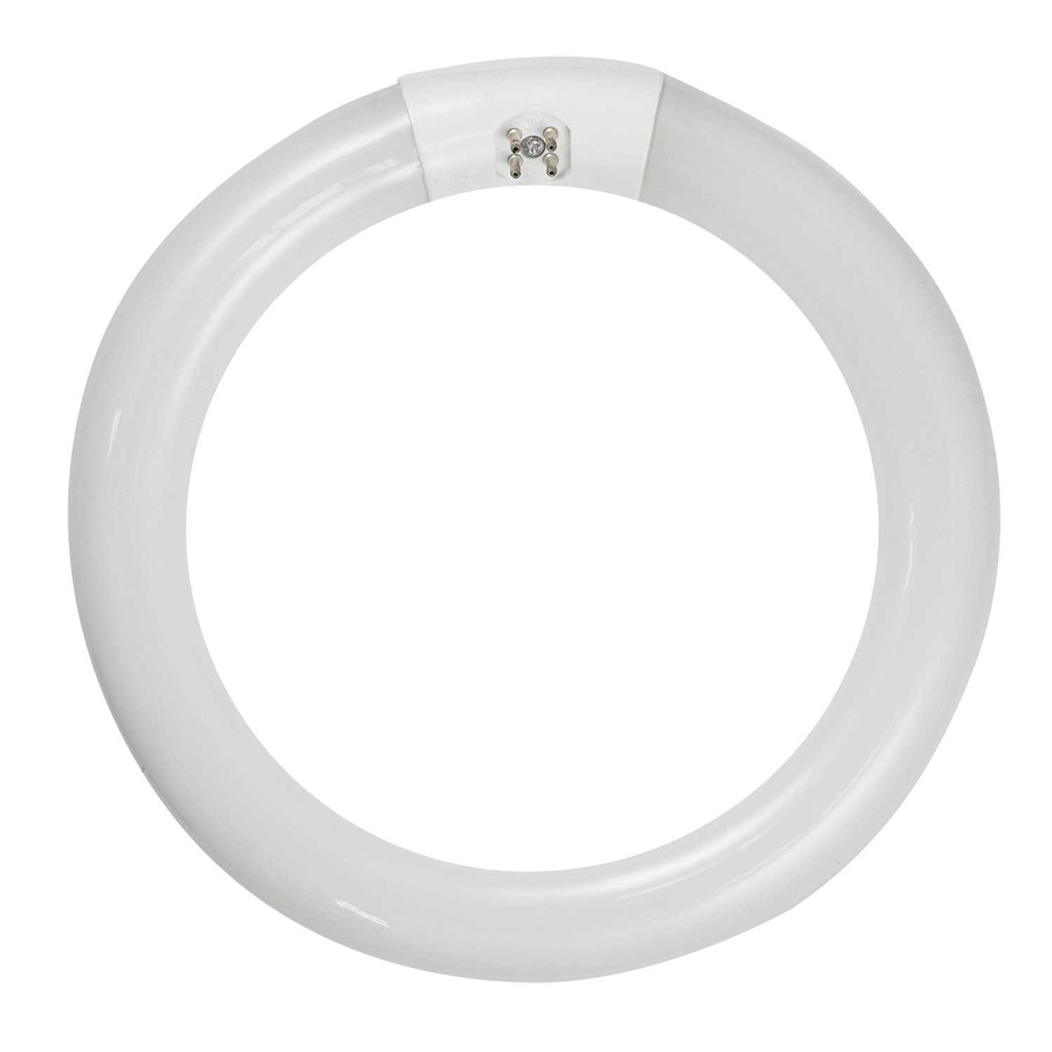 FC8T9-CW - FC8T9-CW-RS - Norman Lamps