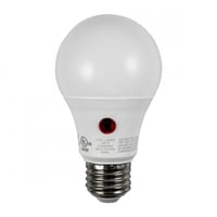 A19 LED