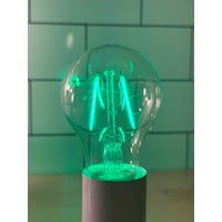 200 Lumens 2 Watt Green LED A19 Filament Light Bulb E26 Medium Base Non-Dimmable 120V LED-FA19-GF-2W - LED-FA19-GF-2W - Norman Lamps