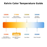 800 Lumens - 9 Wattage 3000K - LED A19 Light Bulb---LED-A19OMNI-3K - LED-A19OMNI-3K - Norman Lamps