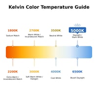 800 Lumens - 9 Wattage 5000K - LED A19 Light Bulb--- LED-A19OMNI-5K 800 Lumens - 9 Wattage 5000K - LED A19 Light Bulb--- LED-A19OMNI-5K - LED-A19OMNI-5K - Norman Lamps