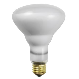 R30 (BR30) Bulbs R30 (BR30) Bulbs