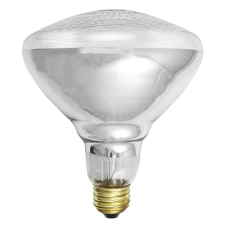 BR38 Bulbs BR38 Bulbs