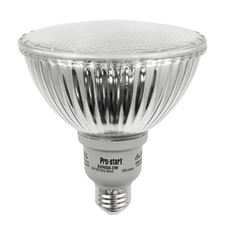 PAR Shape CFL