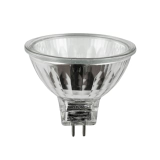 Halogen Bulbs