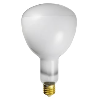 R52 Bulbs R52 Bulbs