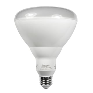 BR40 LED