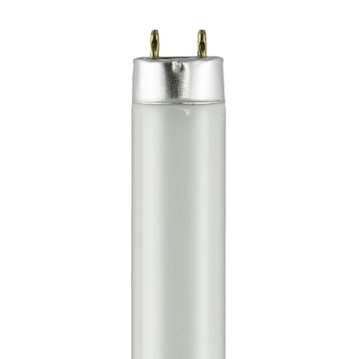 FO25/850/XP/ECO SYLVANIA (22194) 5000K 3 Foot Fluorescent Tube FO25/850/XP/ECO SYLVANIA (22194) 5000K 3 Foot Fluorescent Tube - Norman Lamps