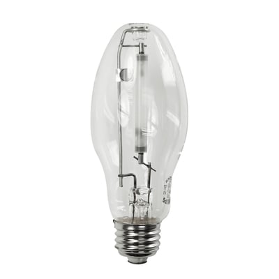 C100S54/M - Norman Lamps