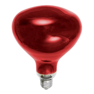 PFA-250R40/10 230V Infrared Heat Lamp - Norman Lamps