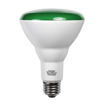 LED-BR30-9W GREEN