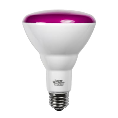 LED-BR30-9W PINK