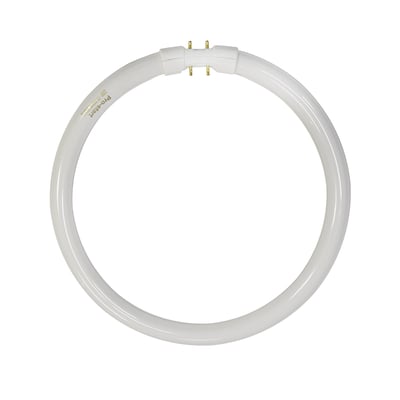 TL5C22W/830 Warm-White 3000K