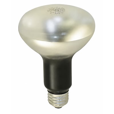 EBR Projector Bulb 115V-120V 375W