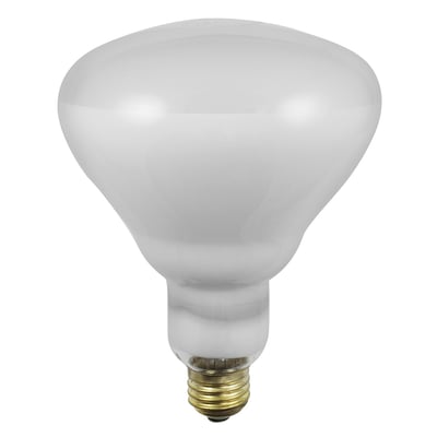 500R40/5FL/SLV 500W 120V Flood Bulb E26 Medium Screw Base