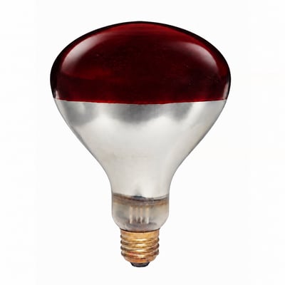 PFA-250R40/10 Infrared Heat Lamp NSF Listed - Norman Lamps