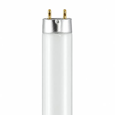 F13T8-D Fluorescent Tube 13W 6400K Daylight White