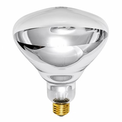 PFA-250R40/230V Clear 230V 250W I.R. Heat Bulb Clear Shatter Protected NSF Listed